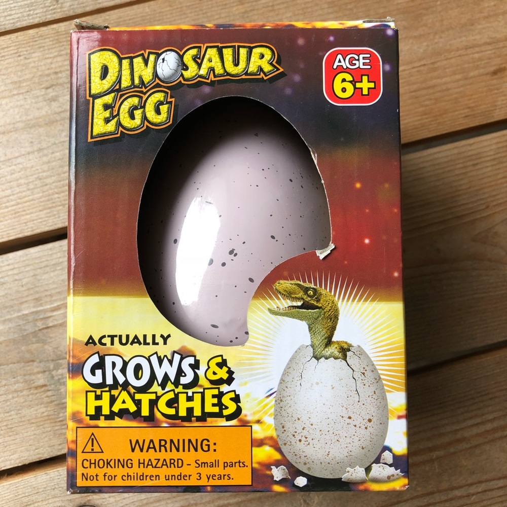 Dinosaur Egg